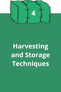 4. Harvesting and Storage Techniques