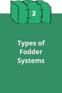 2. Types of Fodder Systems