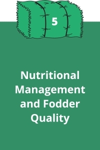 5. Nutritional Management and Fodder Quality