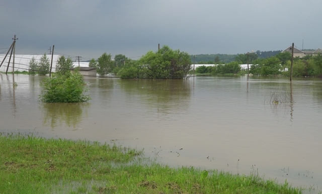 Farming After Flood: How To Manage Your Land Effectively