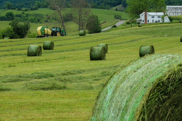 Can You Grow Your Own Fodder From Pasture?