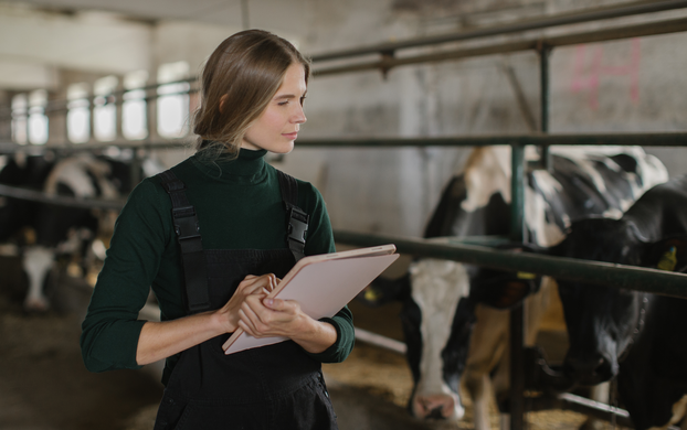 Europe’s milk price squeeze: what farmers can control when the market can’t