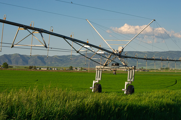 All about Pasture Watering Systems: From Irrigation, Livestock Watering to Rotational Grazing & Remote Systems