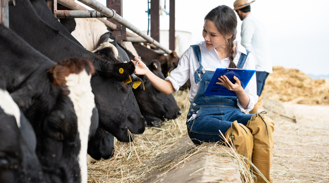 Smart Grazing Schedules That Stop Pasture Going to Seed (Head) and Keep Forage Productive