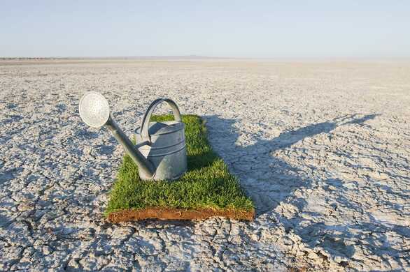 Water Quality Standard for Cattle: “I will consume healthy water only!