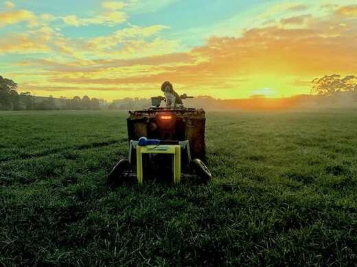The pros and cons of using a C-Dax pasture meter