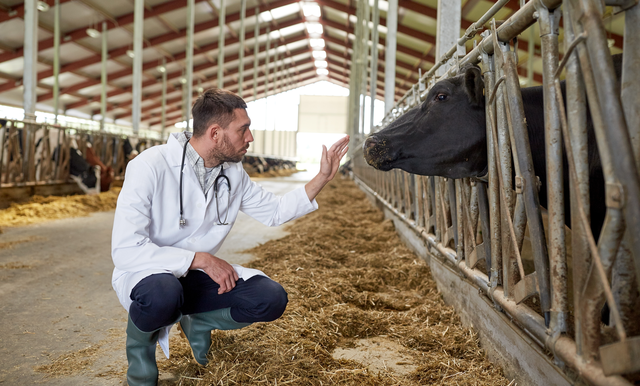Strengthen Your Grazing Operation with a Practical Biosecurity Plan
