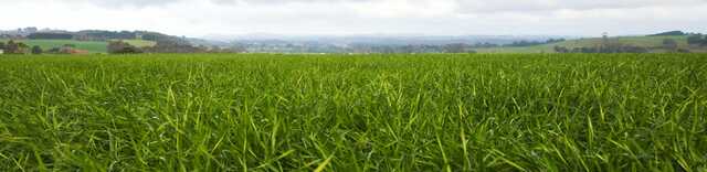 The Hierarchy of Pasture Measurement Tools