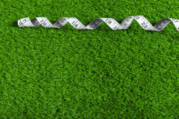 Rising Plate Meter NZ: How New Zealand Farmers Measure Grass