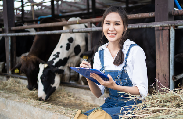 Milk price moves: how to stress-test a pasture-based budget when the forecast shifts