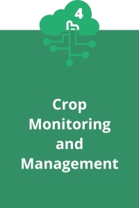 4. Crop Monitoring and Management