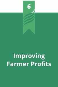 6. Improving Farmer Profits