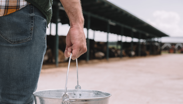 Keeping Water and Feed Clean in the Paddock: Practical Biosecurity Measures
