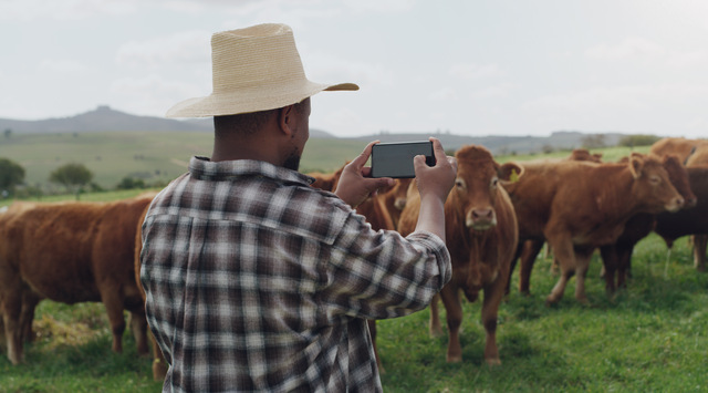 Top Global Farming and Grazing Apps & Why Pasture.io’s Pio Stands Out