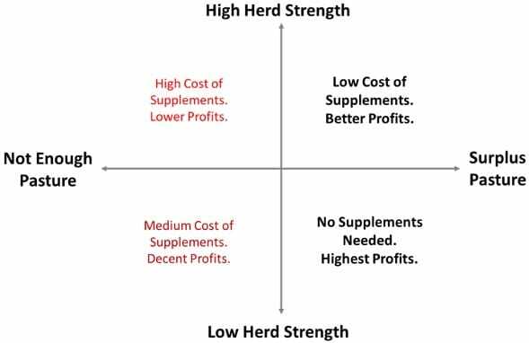 Maximise Farm Profitability with Supplements