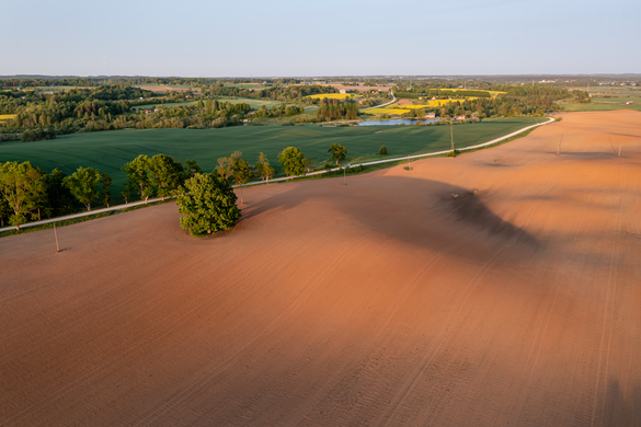 From Soil Testing to Crop Monitoring: Using Remote Sensors To Farm Better
