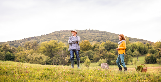 Practical Tools and Techniques to Manage (or Mow) Pastures Against Head Formation