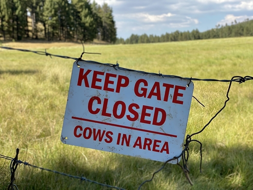 Why Protecting Your Farm’s Biosecurity Should Be Part Of Your Daily Operations