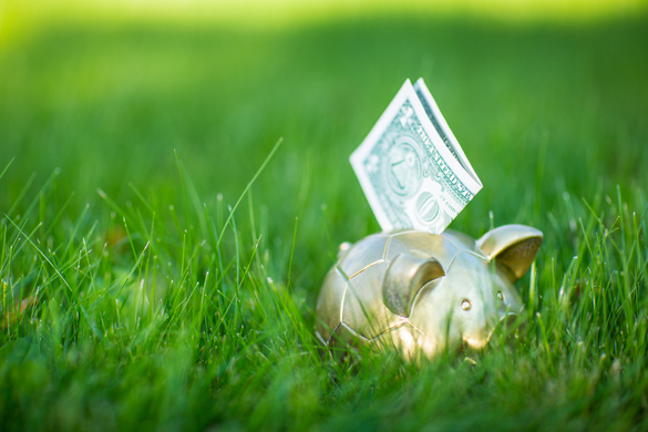 How to increase your farm profit with proper pasture management?