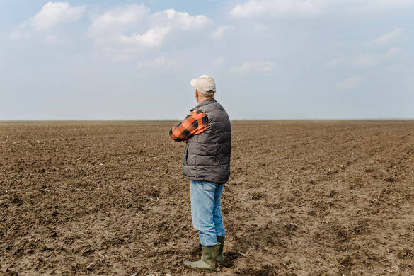Australian Farmers Leading The Way In Sustainability & Climate Change Efforts