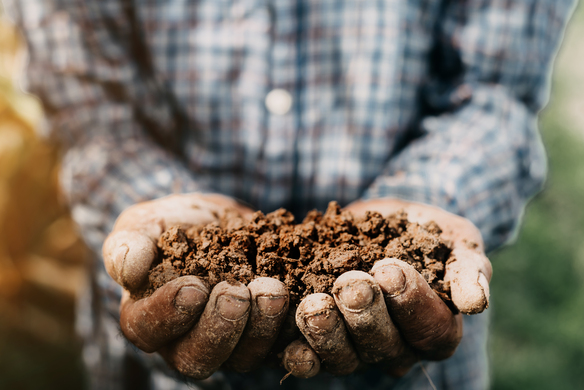 Soil Health Can Make or Break Your Farm. Here’s Why.