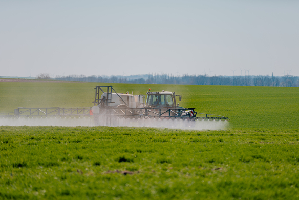 To Use or Not to Use: Why Roundup Is Banned In Some Countries & Not Others