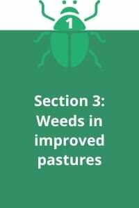 Section 3: Weeds in improved pastures