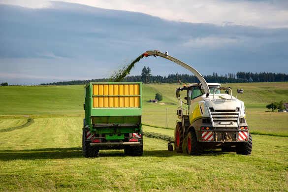 The Right Time For Harvesting Silage
