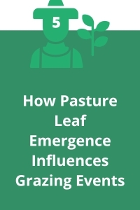 5. How Pasture Leaf Emergence Influences Grazing Events