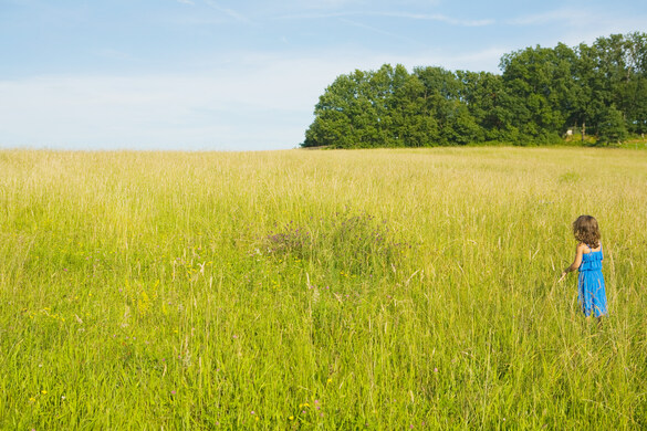 Forage Forecast For Success: How To Get The Most Out of Your Grazing Management Plan