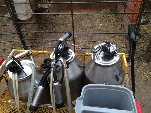 Robotic Milking Systems: A Guide
