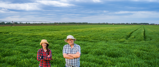 Annual, Perennial, or Hybrid? Choosing the Right Ryegrass for Your Pastures