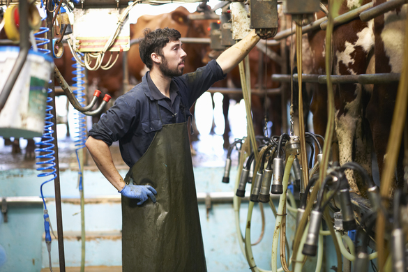 Three Ways The Australian & NZ Dairy Industries Can Lead In Sustainability
