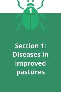 Section 1: Diseases in improved pastures