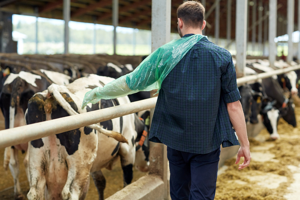 How To Work With Your Vet For The Best Farm Outcomes