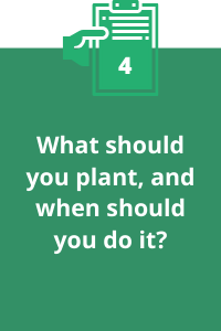 4. What should you plant, and when should you plant them?