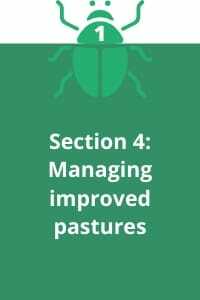 Section 4: Managing improved pastures