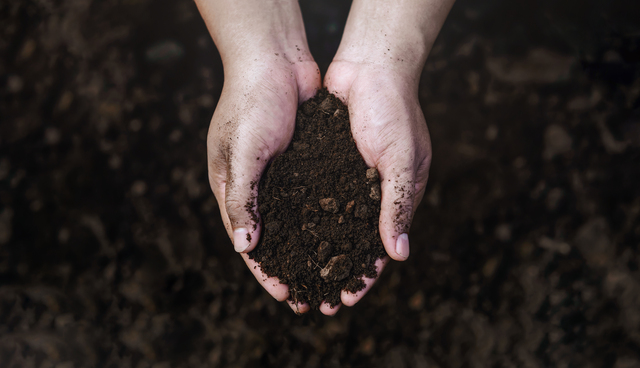 Is Carbon Farming Right For Your Farm? Part 2
