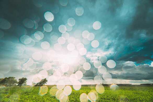 How to graze when soils are saturated