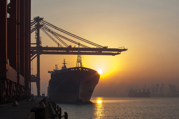 Live Exports: Why It’s a Good Thing For Farmers & The Economy