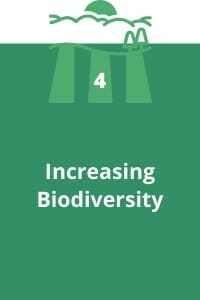 4. Increasing Biodiversity