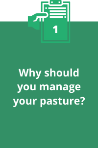1. Why should you manage your pasture?