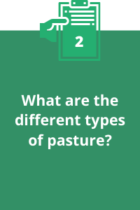 2. What are the different types of pasture?