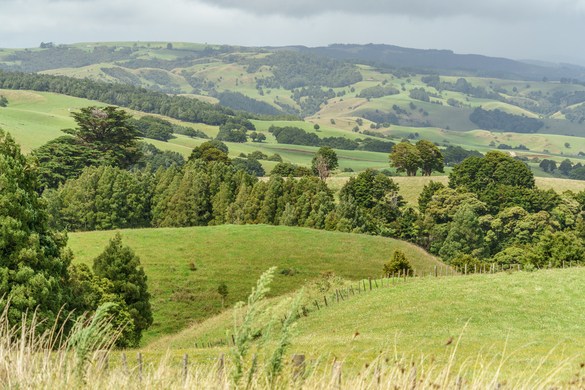 The Top Most Common Farming Terrains In Australia and New Zealand: Which Is Best?