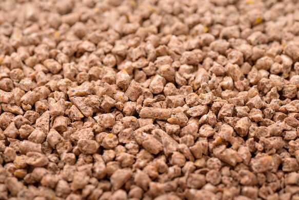 Alternative Protein Sources for Animal Feed