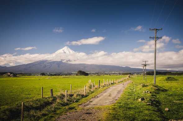Advancements in Dairy Industry of New Zealand