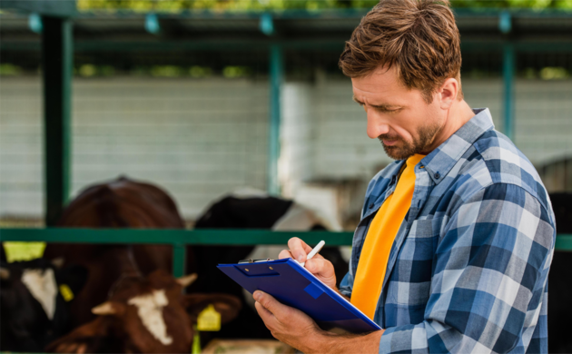 Spring grazing infrastructure checklist for faster rotations and cleaner residuals