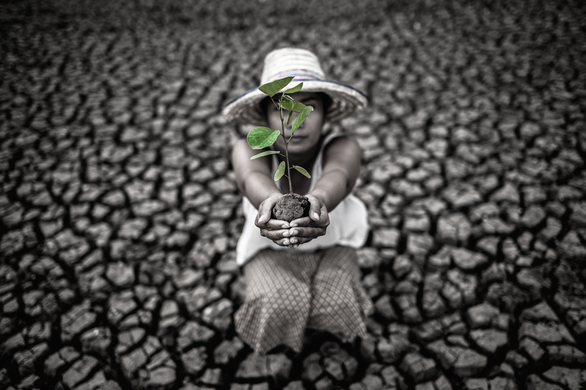 COP16 Riyadh: The World’s Future Depends On How We Manage Our Farm Land