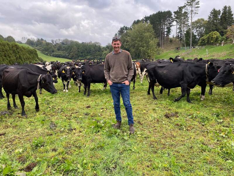 Logan Haynes with his dairy herd in Taranaki, New Zealand.