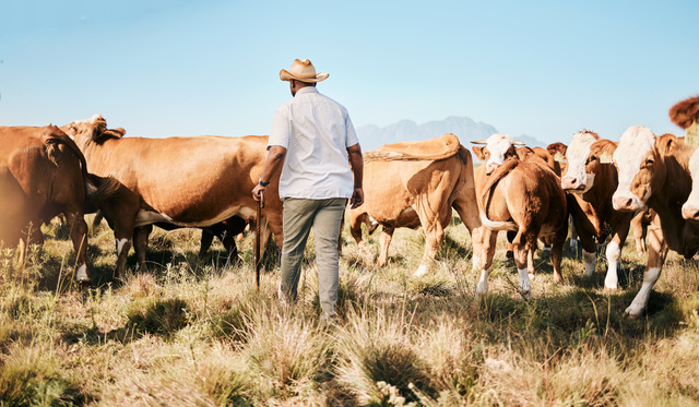 The Challenges Farmers Face Every Day & The Agtech Tools Solving Them